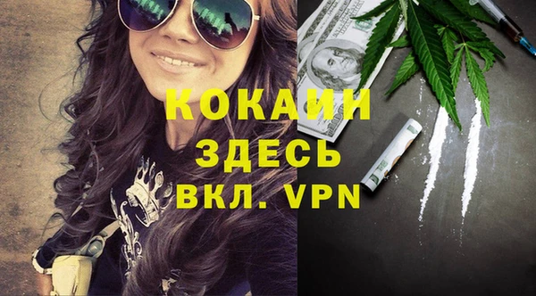 шишки Няндома