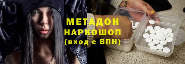 шишки Няндома