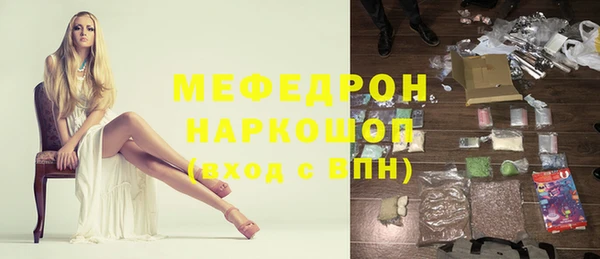 шишки Няндома
