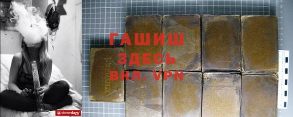 шишки Няндома