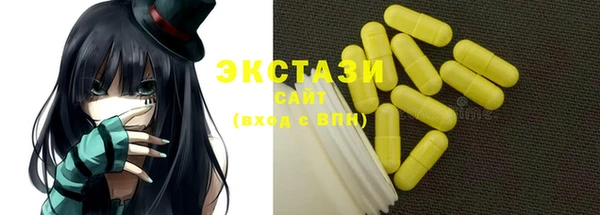 шишки Няндома