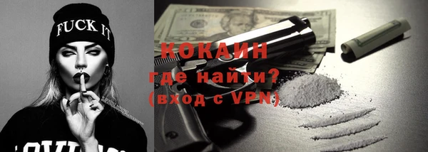 шишки Няндома