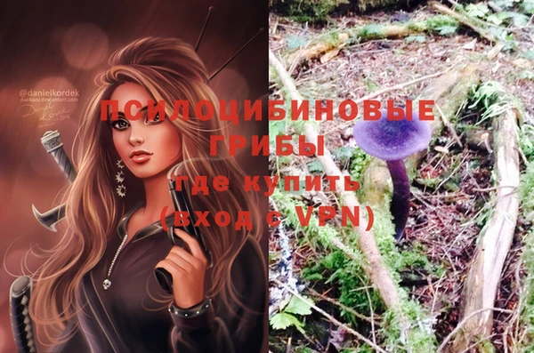 шишки Няндома