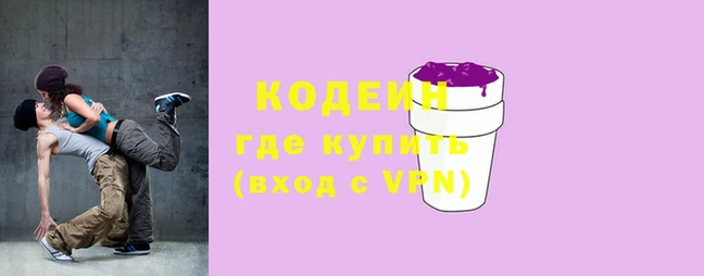 шишки Няндома