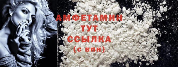 шишки Няндома