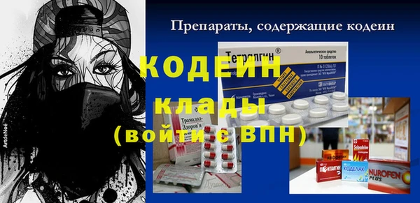шишки Няндома