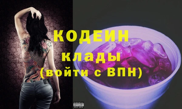 шишки Няндома