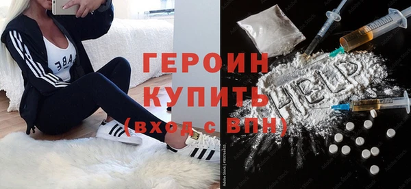 шишки Няндома