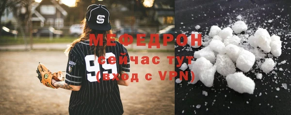шишки Няндома
