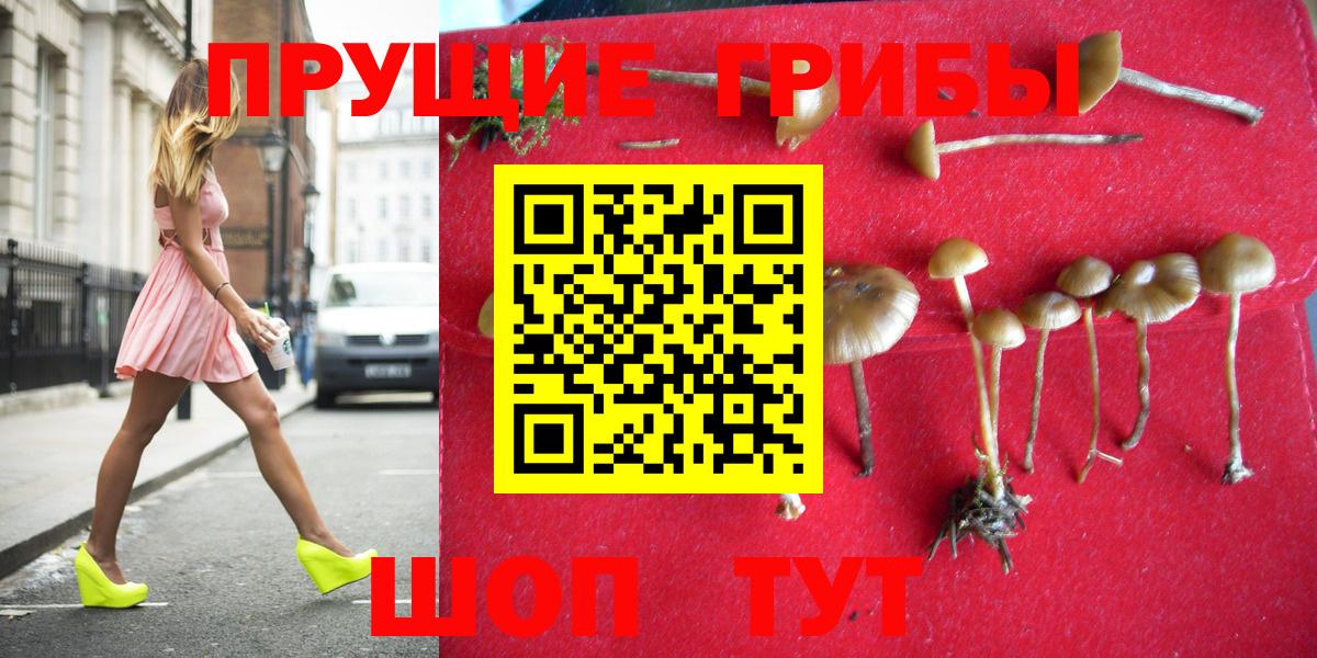 Галлюциногенные грибы прущие грибы  Ливны 