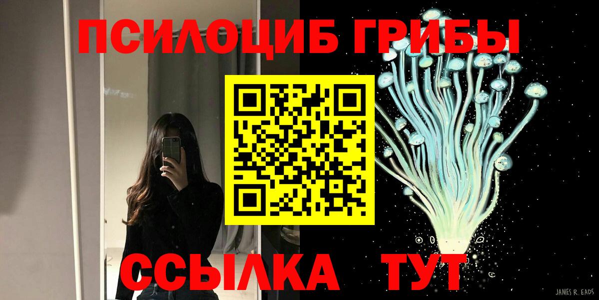 Псилоцибиновые грибы Psilocybe  Галлюциногенные грибы ЛСД  Ливны  Вход с VPN 
