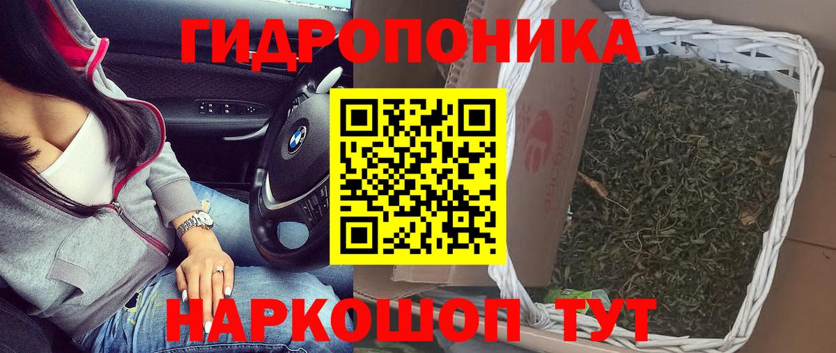 Шишки марихуана Amnesia Ливны